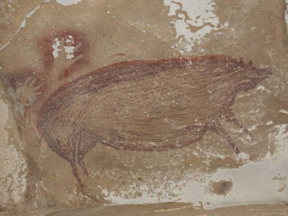 Cave art of pig